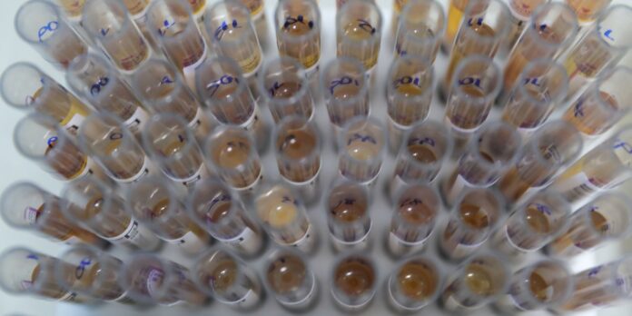 medicamento-disponibilizado-pelo-sus-reduz-casos-de-malaria-no-brasil