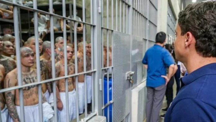 nikolas-ferreira-defende-linha-dura-na-criminalidade-e-direitos-humanos