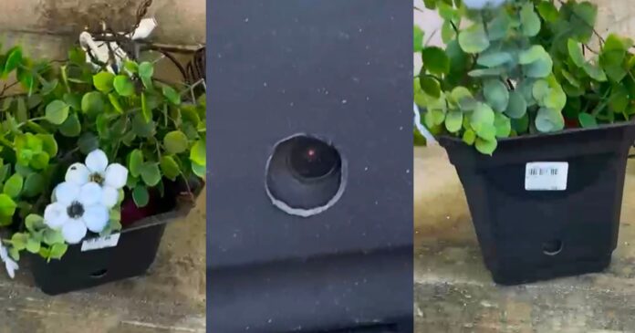 pm-flagra-cameras-ocultas-em-vasos-de-plantas-na-avenida-suburbana
