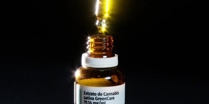 autorizacoes-de-importacao-de-cannabis-sobem-29%-em-2026