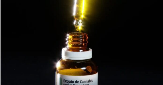 autorizacoes-para-importacao-de-cannabis-sobem-29%-em-2026