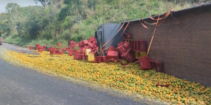 acidente-com-caminhoes-causa-20-km-de-congestionamento-na-br-101,-bahia