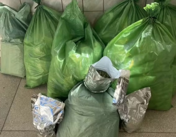 quatro-suspeitos-sao-presos-com-56-kg-de-maconha-em-abordagem-no-norte-da-bahia