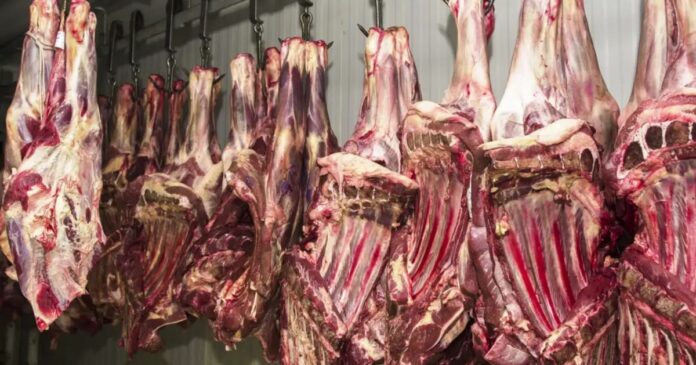 trump-amplia-quota-isenta-de-tarifa-para-carne-moida-nos-eua,-favorecendo-frigorificos-brasileiros