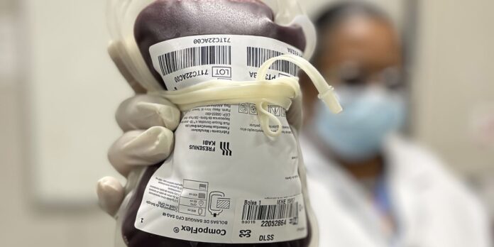 lei-institui-junho-vermelho-para-estimular-a-doacao-de-sangue