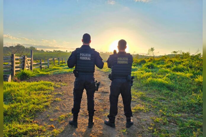 policia-federal-deflagra-operacao-contra-extracao-irregular-de-madeira-em-area-indigena