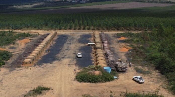 mp-ba-localiza-desmatamento-ilegal-superior-a-200-hectares-no-litoral-norte-e-sudoeste-da-bahia
