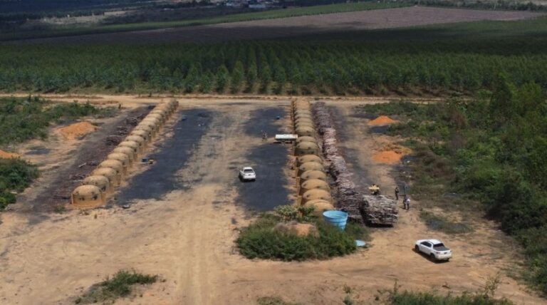 mp-ba-localiza-desmatamento-ilegal-superior-a-200-hectares-no-litoral-norte-e-sudoeste-da-bahia