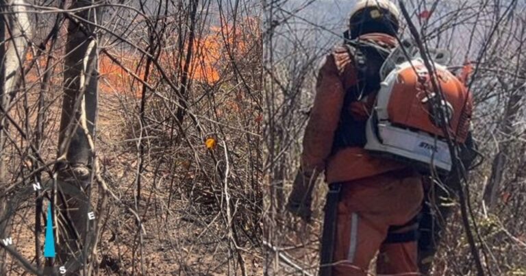 chamas-atingem-serra-da-bandeira-em-barreiras-e-mobilizam-40-bombeiros