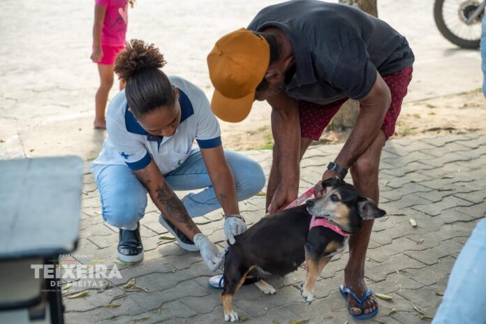 teixeira-de-freitas-intensifica-vacinacao-antirrabica-com-a-prefeitura