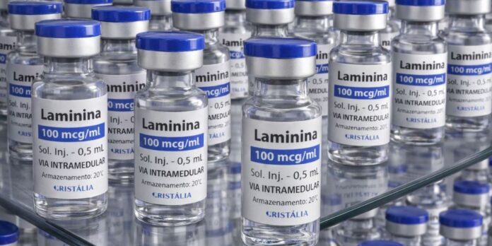 polilaminina:-fase-1-de-testes-clinicos-tem-inicio-neste-mes