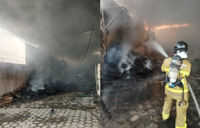 incendio-de-grande-porte-na-br-101,-em-teixeira-de-freitas,-e-controlado-pelo-corpo-de-bombeiros