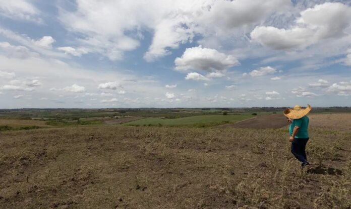 bahia-lanca-plano-contra-el-nino-para-o-semiarido-e-se-destaca