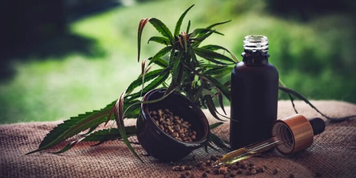 associacoes-enfrentam-duvidas-com-normas-vigentes-sobre-cannabis