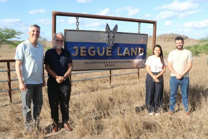 jegue-land-busca-ser-referencia-em-jumentos-na-bahia;-forum-contesta.