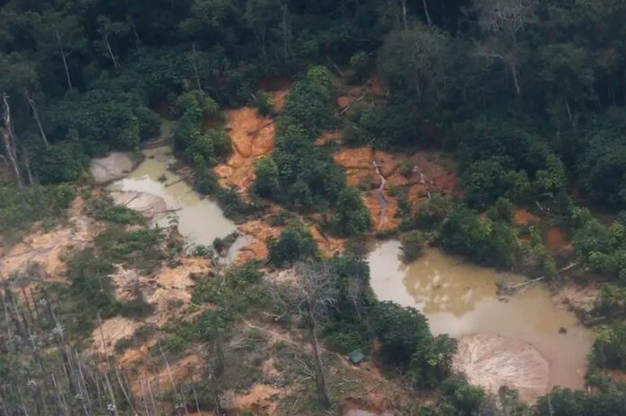 mpf-cobra-quatro-empresas-por-apoio-ao-garimpo-ilegal-na-terra-yanomami