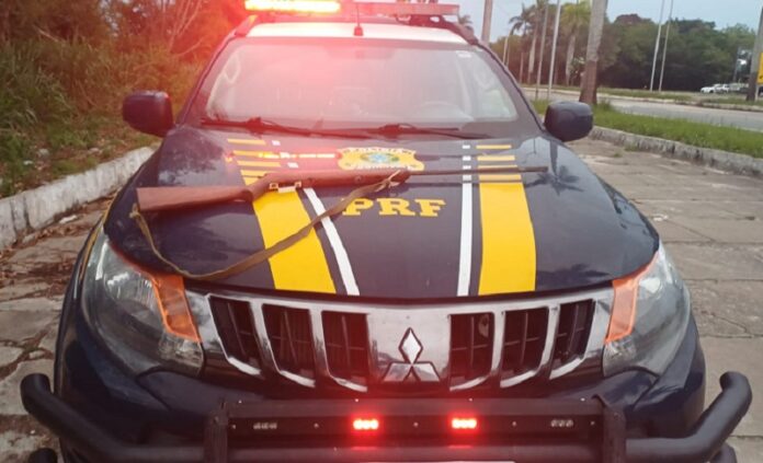prf-apreende-arma-e-cumpre-mandado;-suspeito-e-preso-por-associacao-ao-trafico-em-teixeira-de-freitas