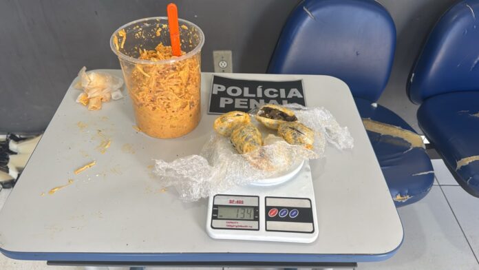 policia-prende-mulher-em-feira-de-santana-por-ocultar-cocaina-e-maconha-em-estrogonofe
