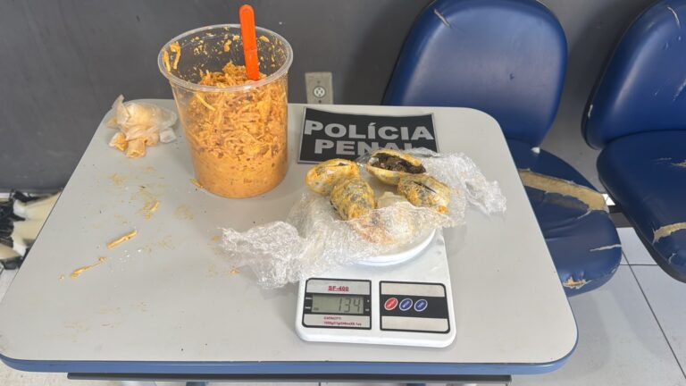 policia-prende-mulher-em-feira-de-santana-por-ocultar-cocaina-e-maconha-em-estrogonofe
