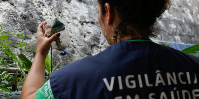 sao-paulo-registra-mais-de-58-mil-casos-de-dengue-desde-janeiro