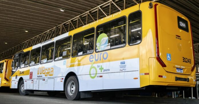 salvador-tera-transporte-publico-gratuito-para-eleitores-neste-domingo