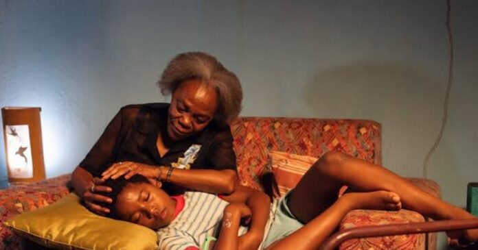 feito-pipa-representa-o-brasil-no-oscar-2027;-pre-estreia-em-salvador
