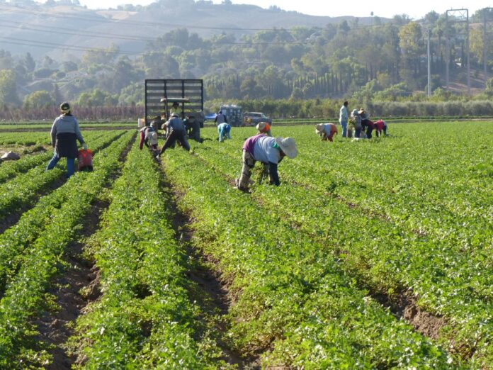 bndes-credito-rural:-caminhos-para-ampliar-sua-producao