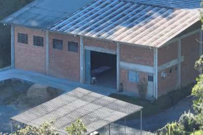 britanico-procurado-pela-interpol-e-detido-por-liderar-o-‘bunker-do-po’