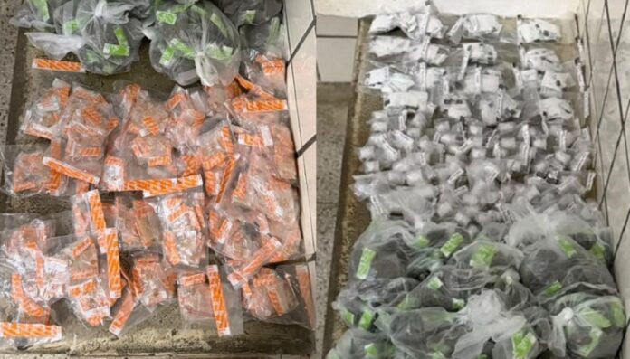 policia-apreende-mais-de-4-kg-de-drogas-em-posto-da-mata-e-investiga-ligacao-com-o-comando-vermelho