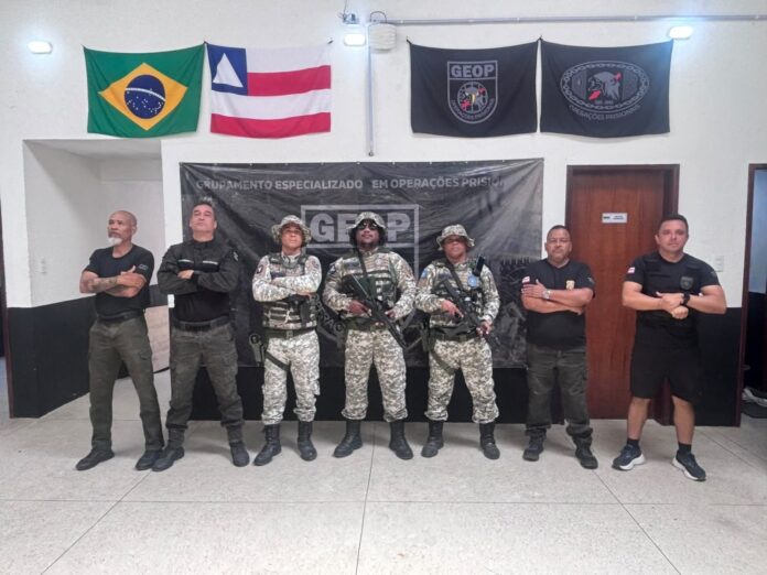 guarda-municipal-retira-quatro-jiboias-do-complexo-penal-de-salvador