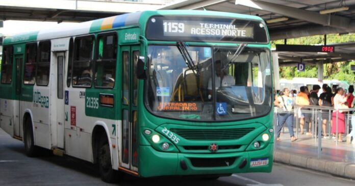 onibus-voltam-a-operar-no-fim-da-linha-de-pernambues-apos-obras