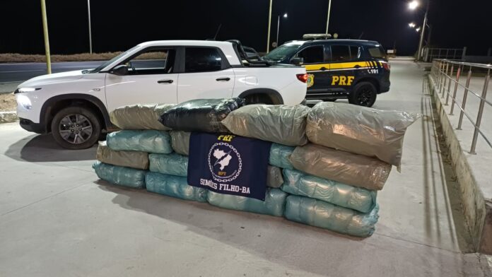prf-apreende-140-kg-de-maconha-na-fiscalizacao-da-br-324,-em-salvador