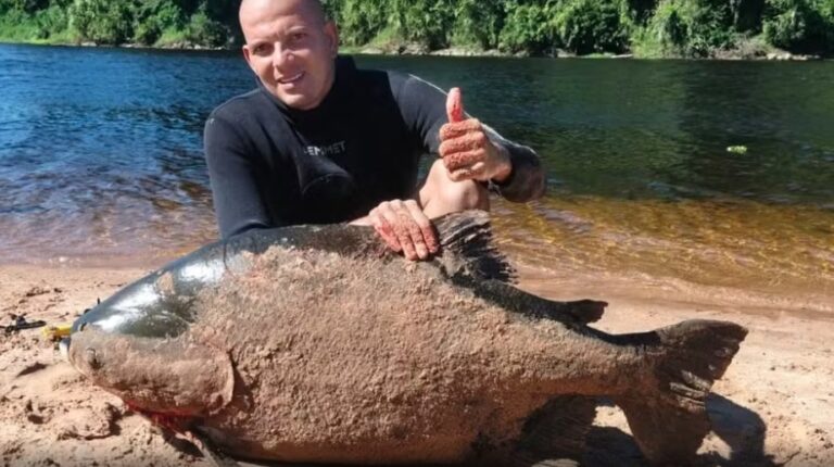 pescador-encontra-tambaqui-de-46-kg-no-sul-da-bahia;-redes-comentam