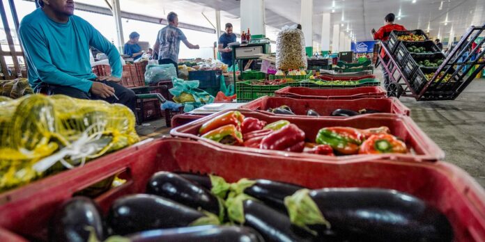 iniciativa-convoca-participacao-para-reduzir-o-desperdicio-de-alimentos