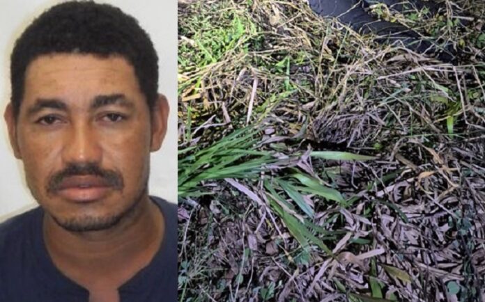 vitima-fatal-em-colisao-frontal-na-ba-290-entre-teixeira-de-freitas-e-medeiros-neto