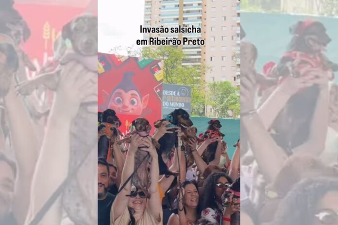 caes-salsichas-atraem-publico-na-oktoberfest-de-ribeirao-preto