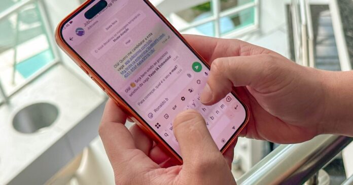 bahia-adota-processos-seletivos-via-whatsapp-para-contratacoes-de-fim-de-ano