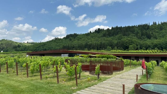 grupo-invade-vinicola-italiana-e-leva-30-mil-garrafas-de-vinho-avaliadas-em-29-milhoes-de-reais