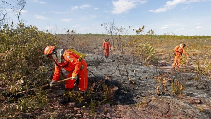 bahia-amplia-alertas-contra-o-el-nino-e-preve-calor-de-ate-41-oc