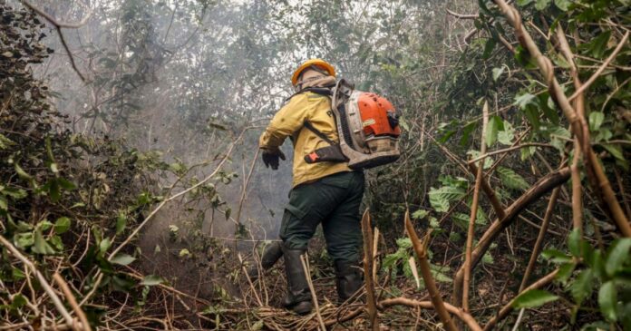 ministro-afirma-que-incendios-no-amazonas-indicam-acao-criminosa