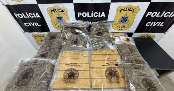quatro-suspeitos-de-trafico-de-drogas-sao-presos-em-salvador-e-jequie