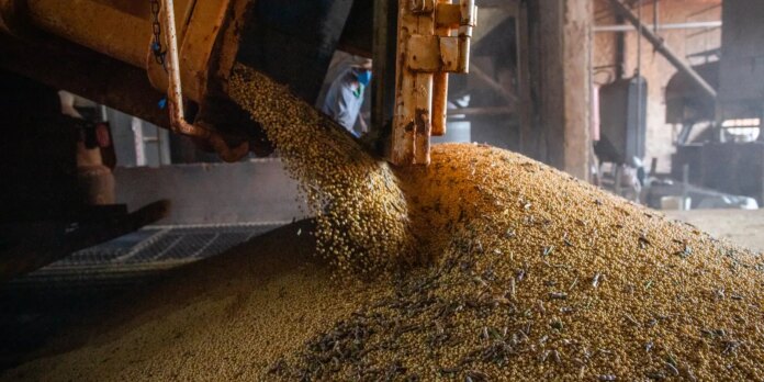 graos-no-brasil-devem-crescer,-mesmo-com-o-el-nino