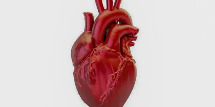 brasil-registra-morte-a-cada-72-segundos-por-doenca-cardiovascular
