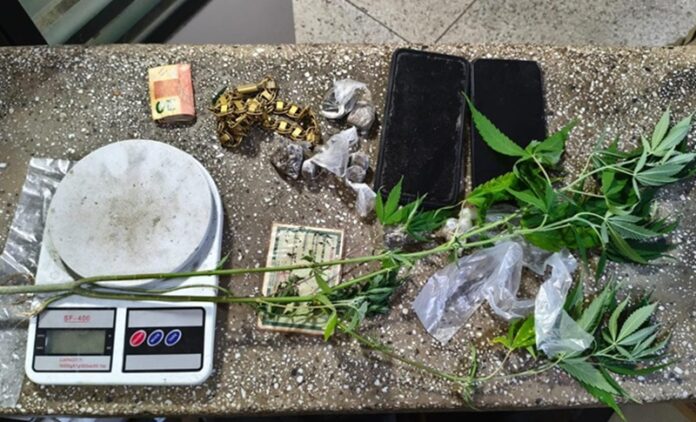 suspeito-e-levado-a-delegacia-apos-drogas-e-pes-de-maconha-encontrados-no-quintal-de-ibirapua
