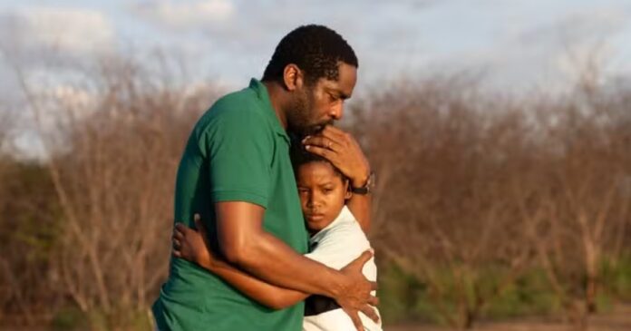 feito-pipa-representa-brasil-no-oscar-recebe-apoio-para-distribuicao