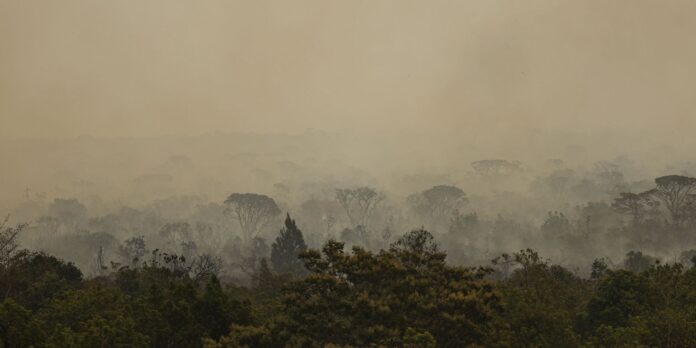 sus-envia-forca-nacional-para-apoiar-atendimentos-no-amazonas-apos-incendios