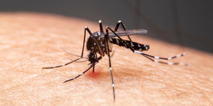 brasil-registra-aumento-de-doencas-infecciosas-ligado-ao-clima