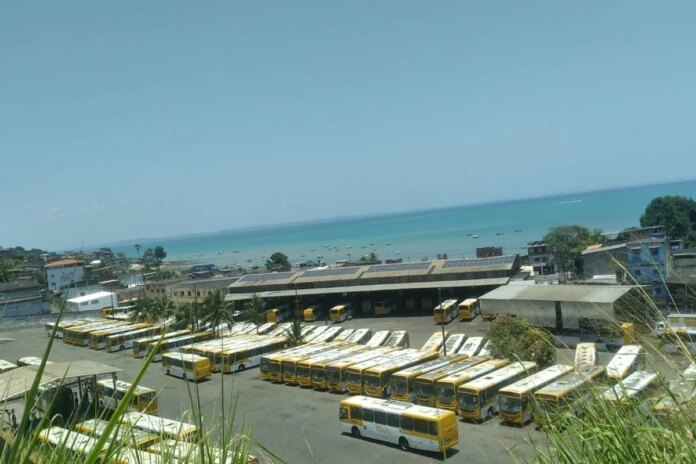 salvador:-prefeito-diz-que-adesivos-em-onibus-atrasaram-saida-da-frota