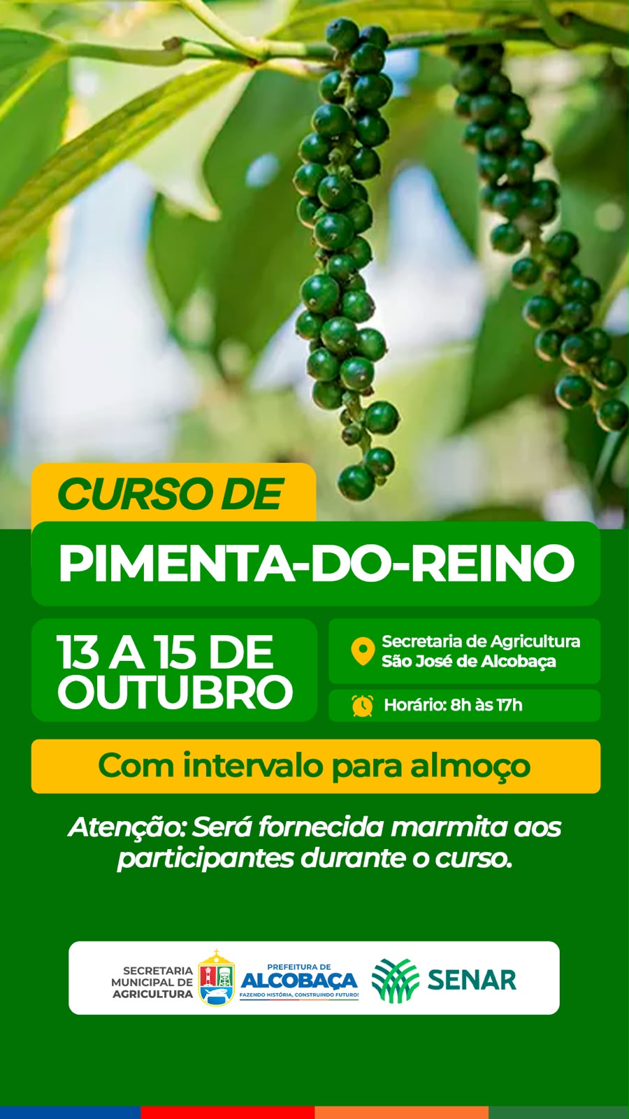 Curso sobre pimenta-do-reino será realizado em São José de Alcobaça