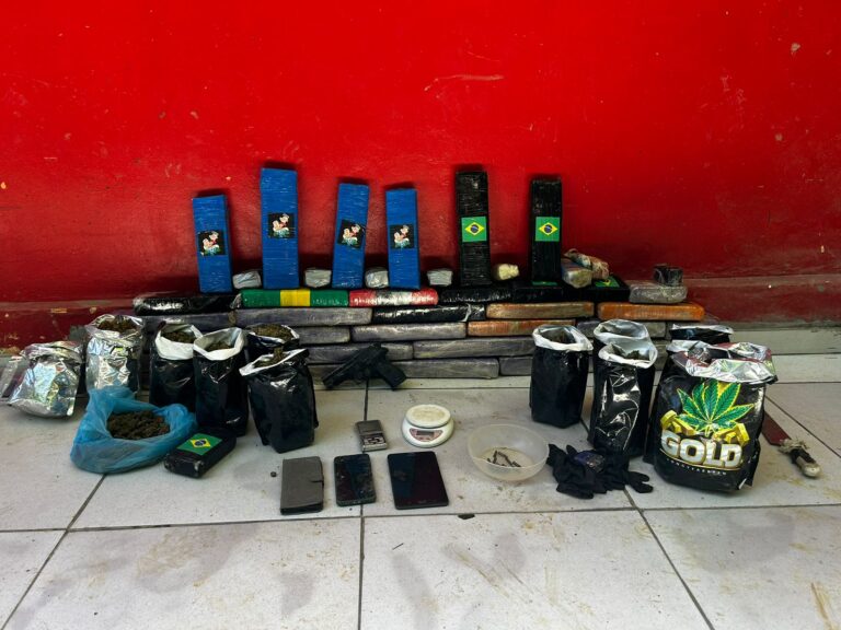 Operação policial desmonta esquema de cultivo de maconha em Itacaré